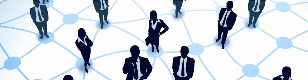BASES Announce New Division Appointments